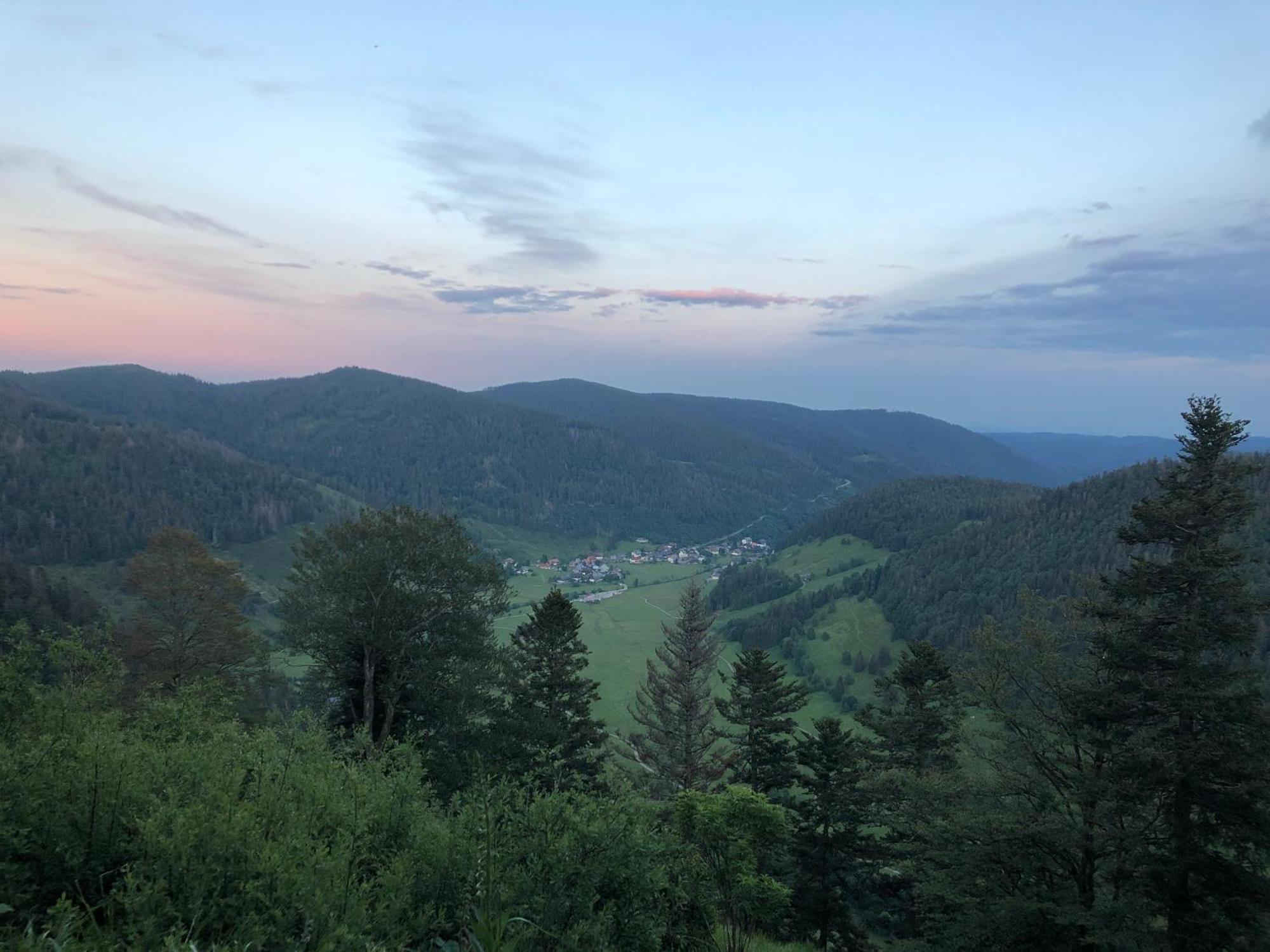 Forest Apartment-Forest Escape Menzenschwand St. Blasien Bagian luar foto