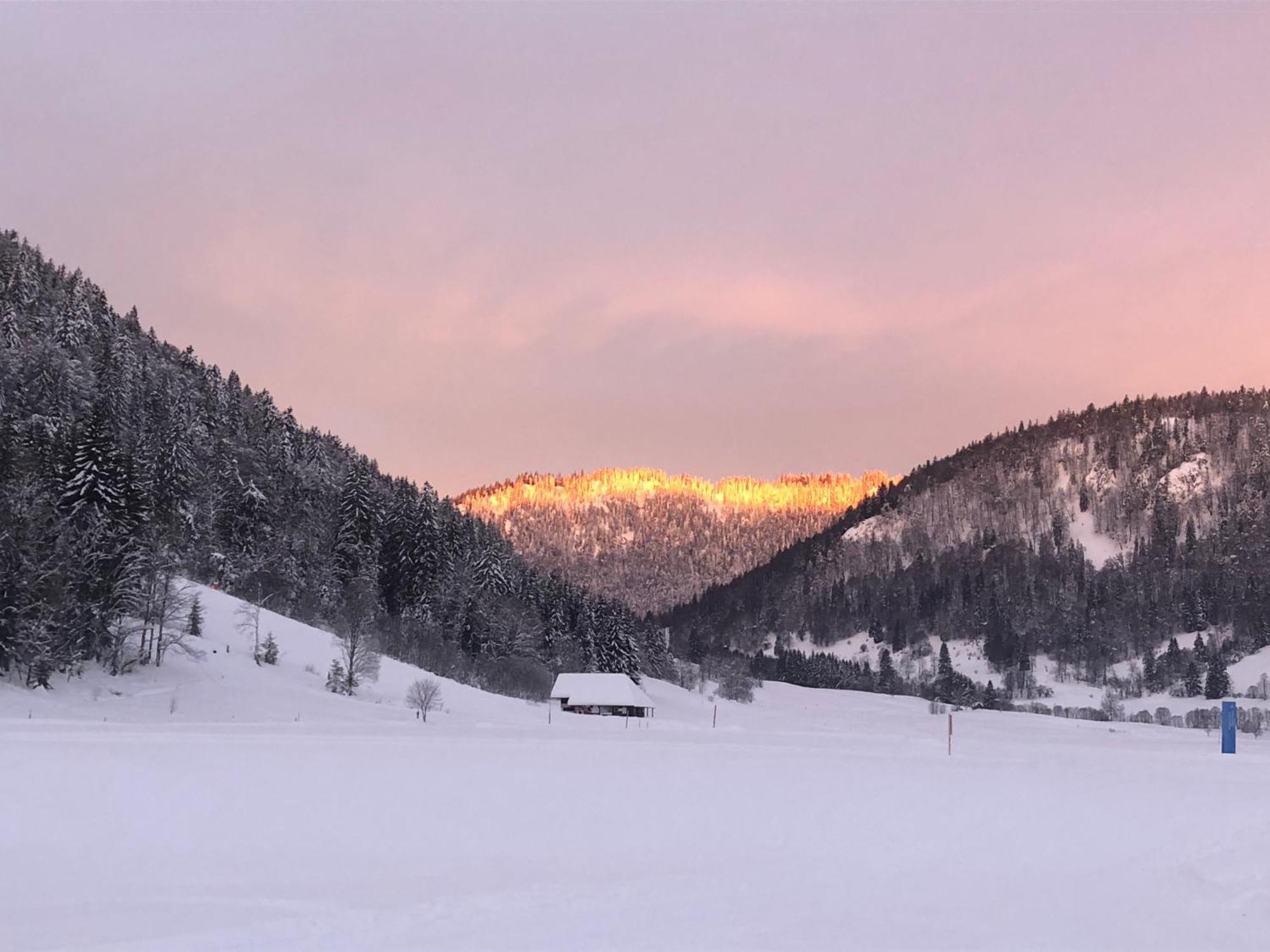 Forest Apartment-Forest Escape Menzenschwand St. Blasien Bagian luar foto