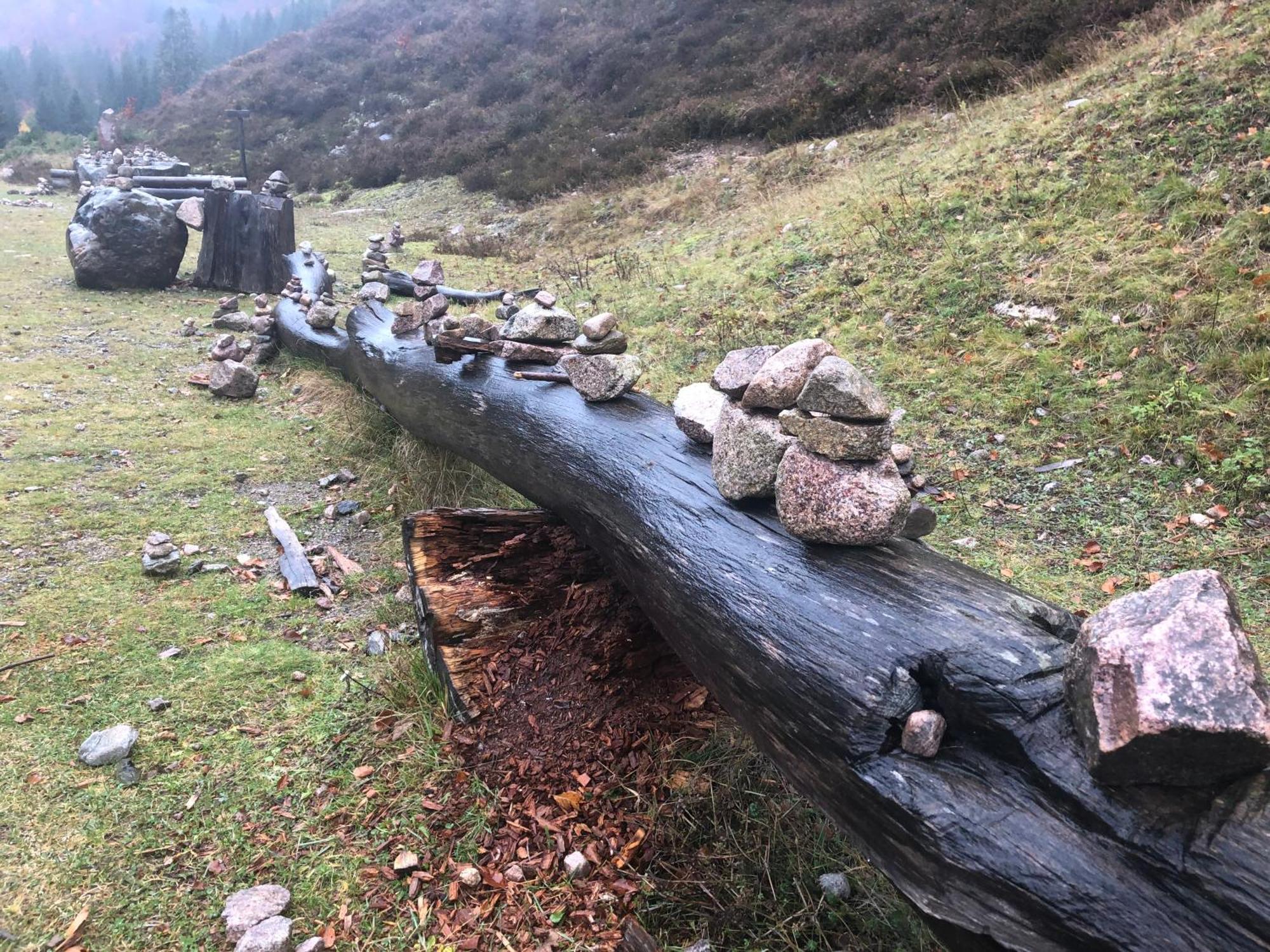 Forest Apartment-Forest Escape Menzenschwand St. Blasien Bagian luar foto
