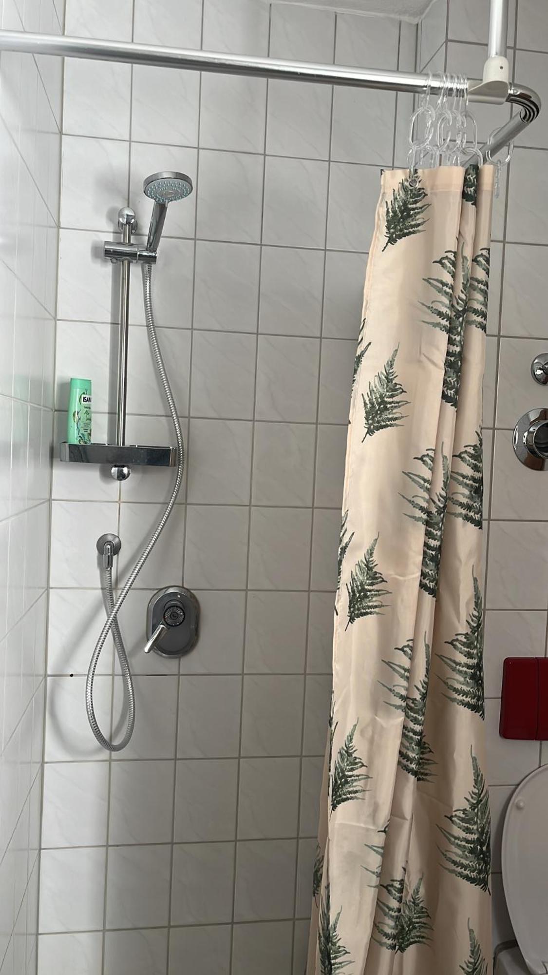 Forest Apartment-Forest Escape Menzenschwand St. Blasien Bagian luar foto