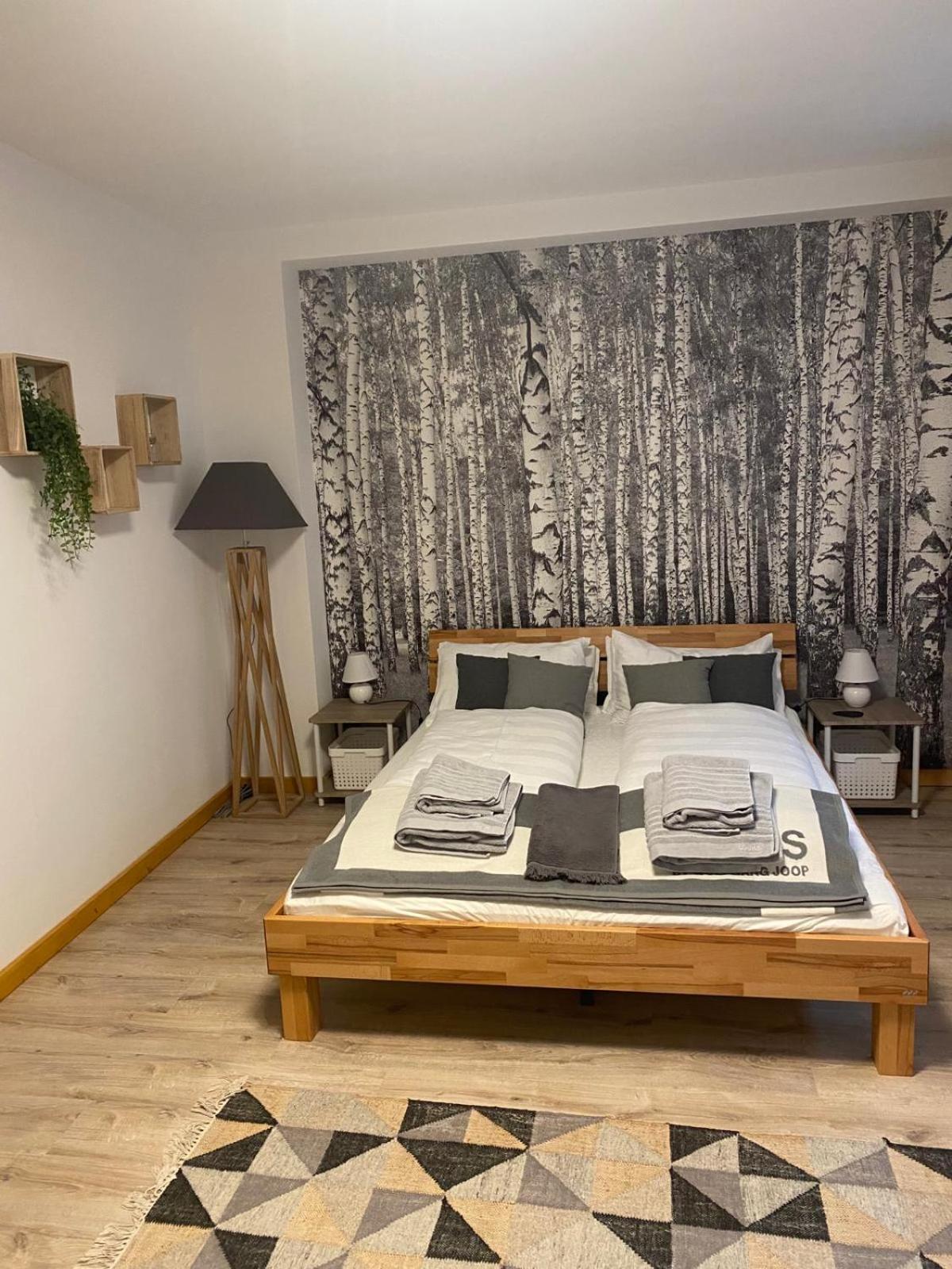 Forest Apartment-Forest Escape Menzenschwand St. Blasien Bagian luar foto